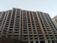 其它图